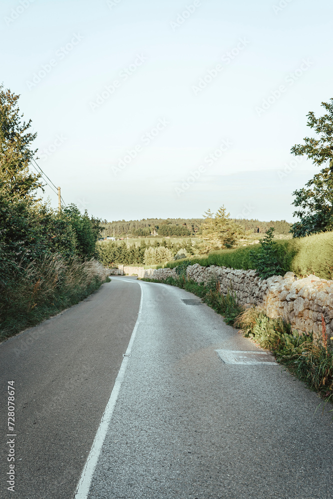 Road with fields on the side