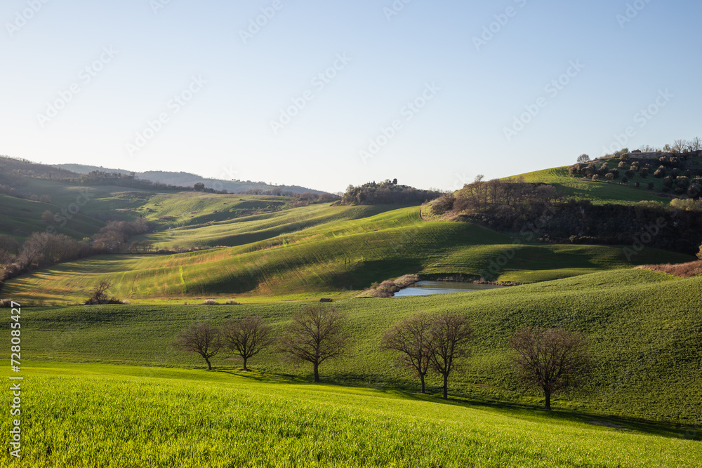 Beautiful Tuscany landscape in spring time with wave green hills and isolated trees. Tuscany, Italy, Europe