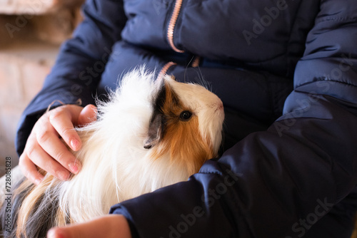 guinea pig being held 