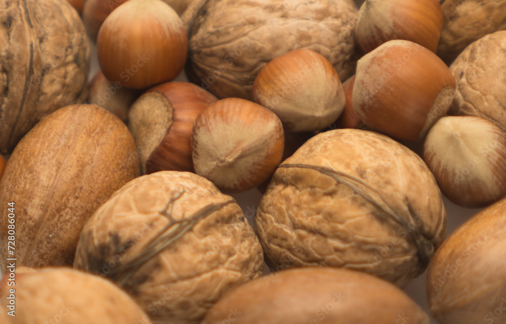 walnut closeup selective focus walnut closeup selective focus