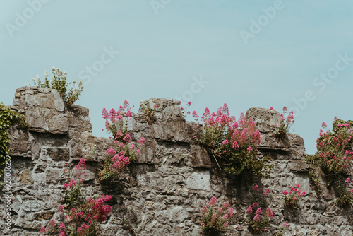 Photography St