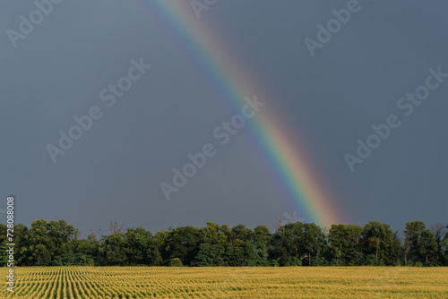 Rainbow in sky over rural lawn, summer field country landscape, A rainbow forms over the forest canopy after an afternoon thundershower