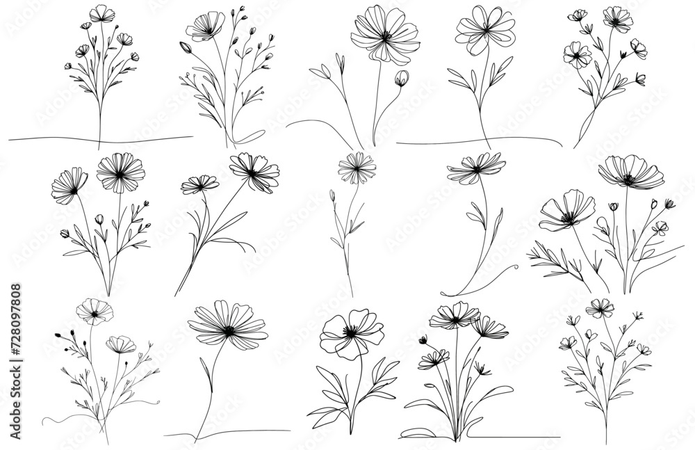 Continuous line flowers..Vector hand drawn ink Sketch. Doodle style