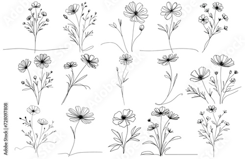 Continuous line flowers..Vector hand drawn ink Sketch. Doodle style