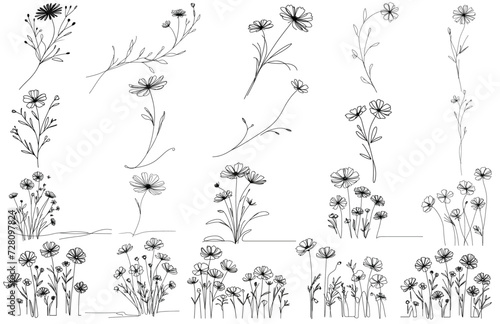 Continuous line flowers..Vector hand drawn ink Sketch. Doodle style