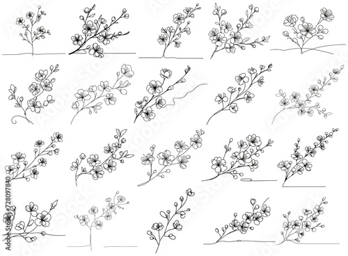 Continuous line cherry flowers..Vector hand drawn ink Sketch. Doodle style