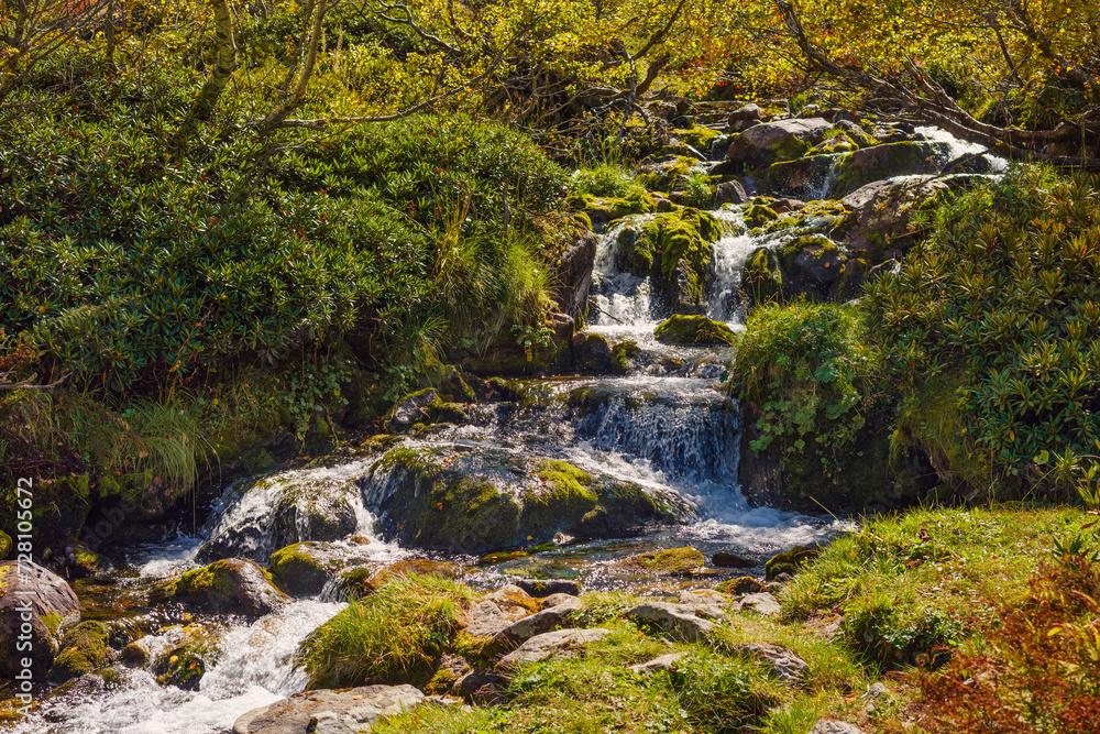 shallow beautiful alpine river with a fast flow and stones on the bank shallow beautiful alpine river with a fast flow and stones on the bank