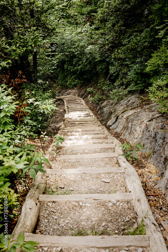 Treppe durch den Wald in den Bergen der Great Smoky Mountains © Sandra