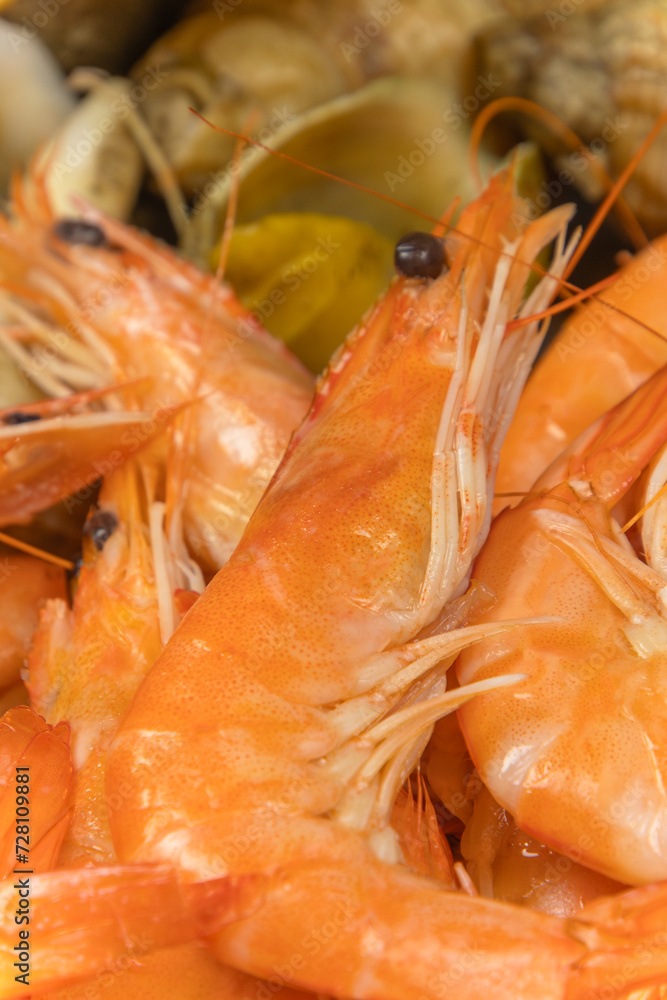 assiette de crevettes roses en gros plan assiette de crevettes roses en gros plan