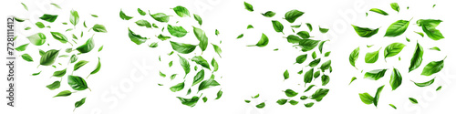 Green leaves fly with a gust of wind Hyperrealistic Highly Detailed Isolated On Transparent Background Png File © Wander Taste
