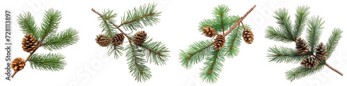  pine branch with cones Hyperrealistic Highly Detailed Isolated On Transparent Background Png File