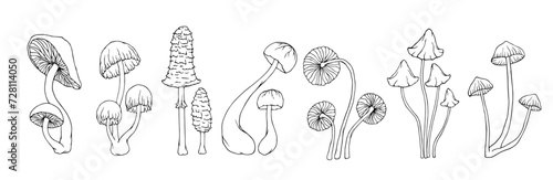 A collection of linear meshes and coloring pages of wild mushrooms and toadstools. Vector graphics.