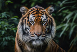 A tiger's head in front of a leafy background.