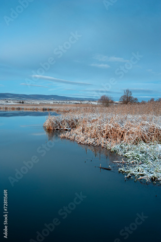 winter on the shore of a frozen lake on a sunny day