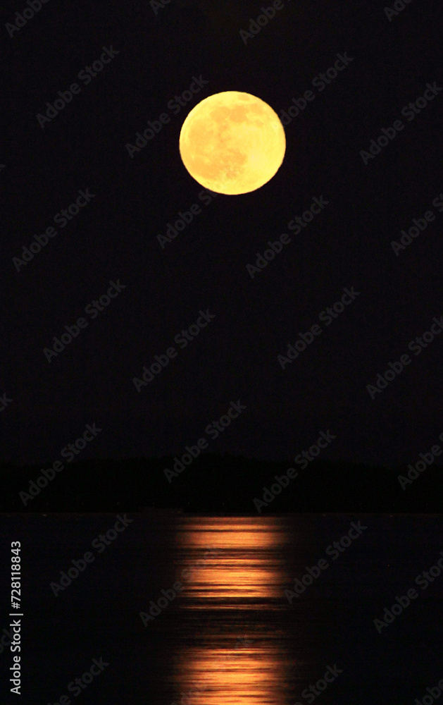 Fototapeta premium moon over the river