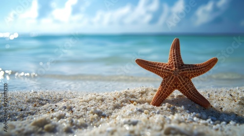 Starfish on the beach, summer concept. © savvalinka