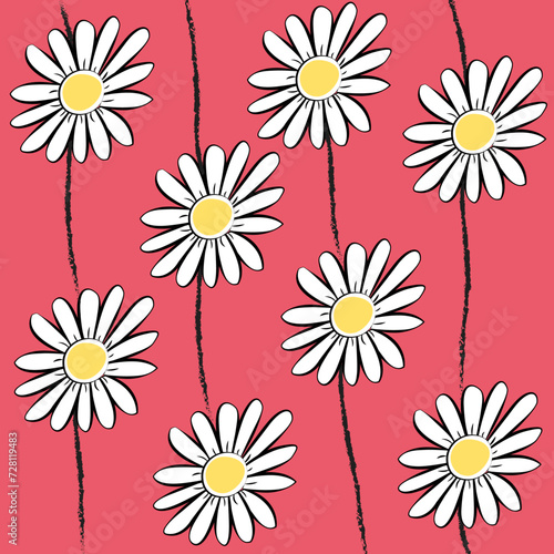 Fondo floral con margaritas blancas.