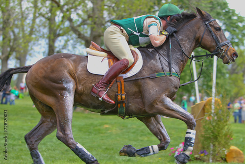 A horse and rider are competing at an Eventing or cross country event.
