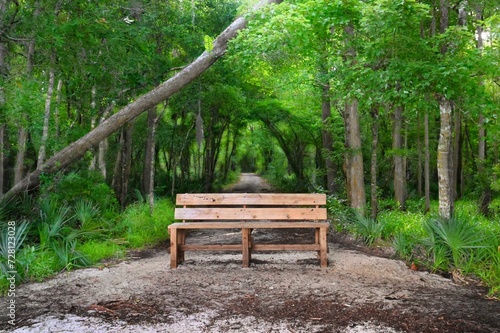 A park bench awaits the avid hiker at the end of a trail through an emerald green forest