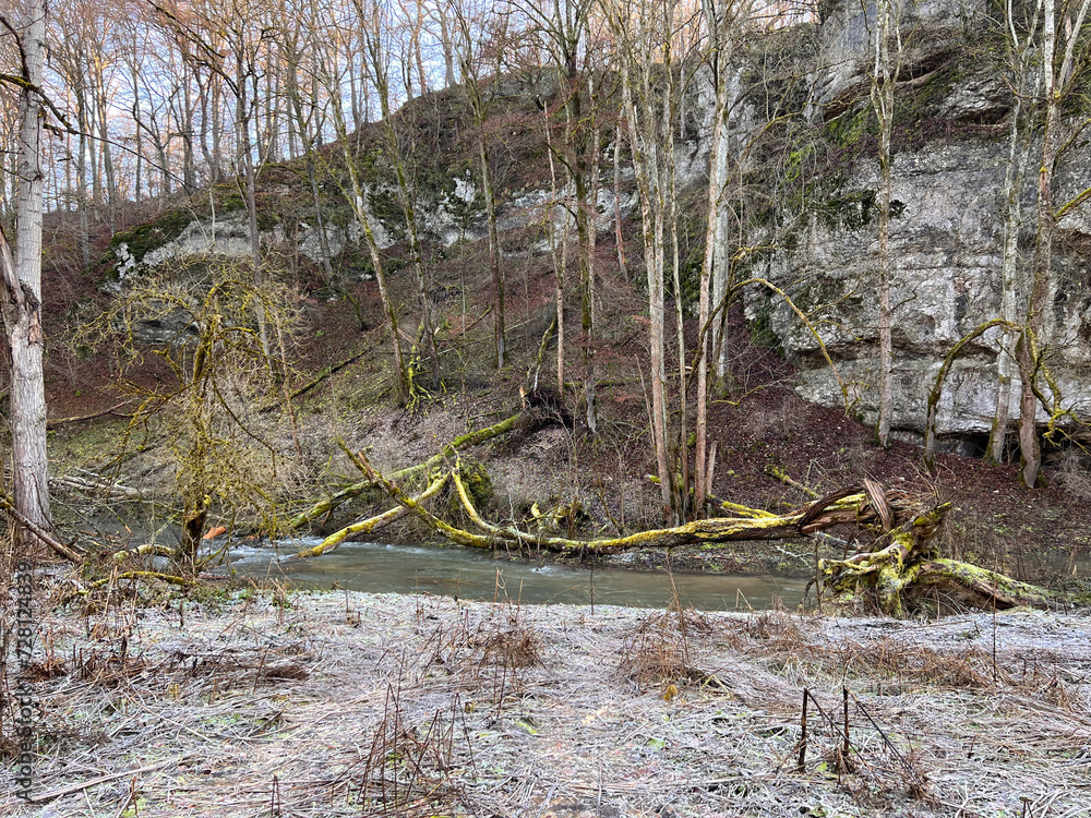 Winter landscape in a nature reserve with a small river, the ground is frozen and some trees have fallen due to the winter storm