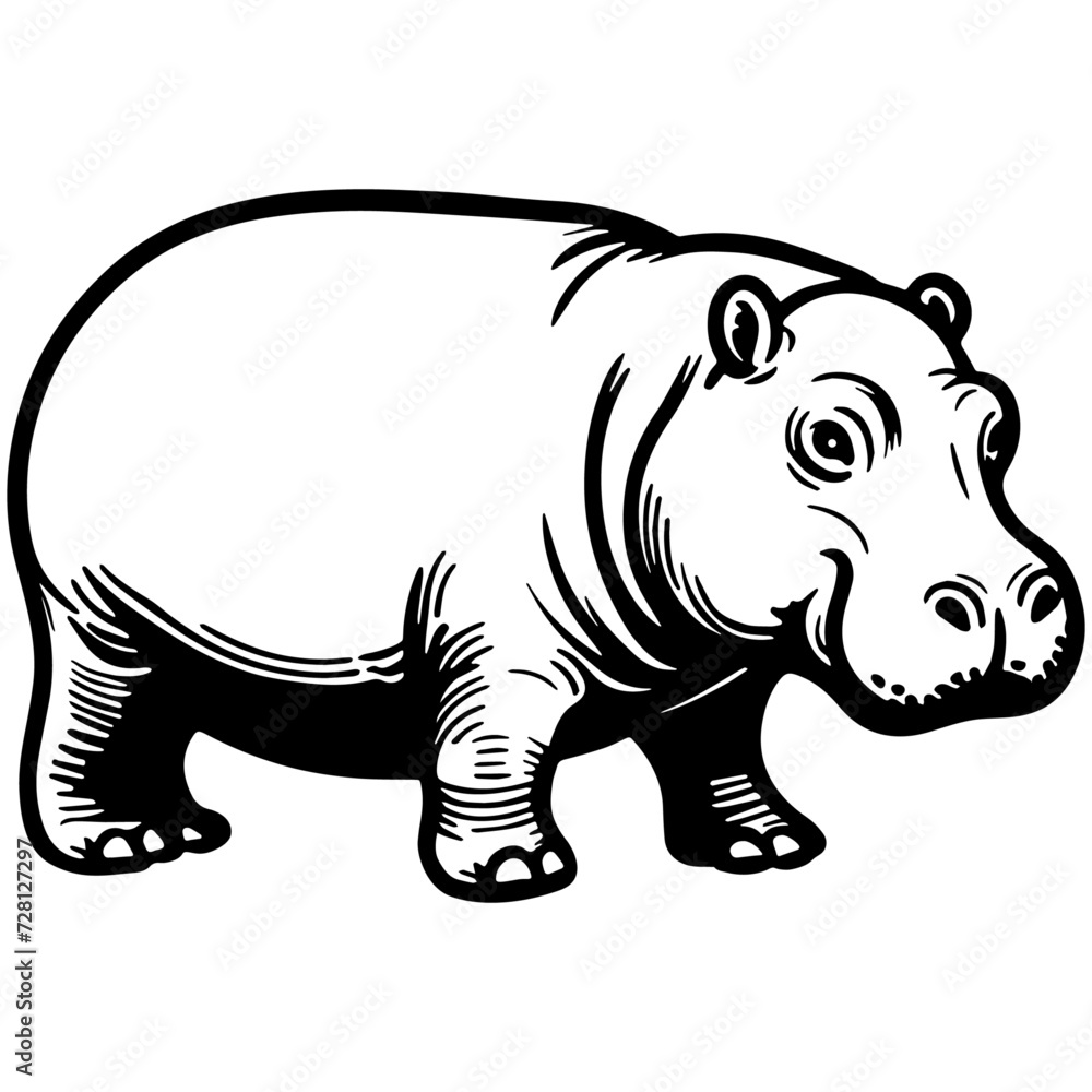 Fototapeta premium Hippo Sketching Drawing.