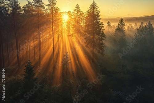 Majestic Woodland at Sunrise. Aerial Photograph with Light Rays coming through Trees. Nature Background. photo