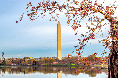 Stumpy and the Washington Monument