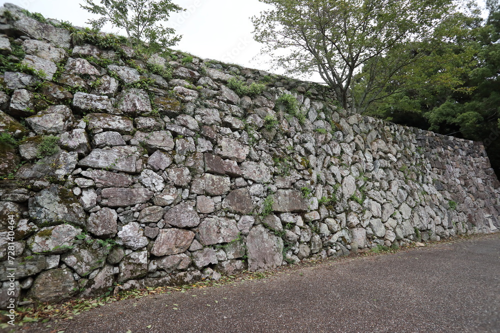 Tamaru Castle, located in the Tamamura district of Tamaki Town, Watarai-gun, Mie Prefecture, was a Japanese castle that existed during the Nanboku-chō period. 