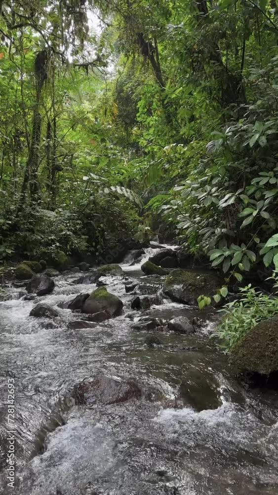 river in the middle of the forest sukabumi, indonesia river in the middle of the forest sukabumi, indonesia