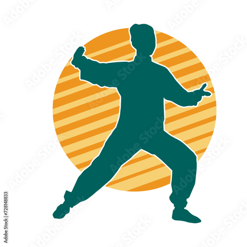 Silhouette of a slim female doing martial art pose. Silhouette of a martial art woman in action pose.