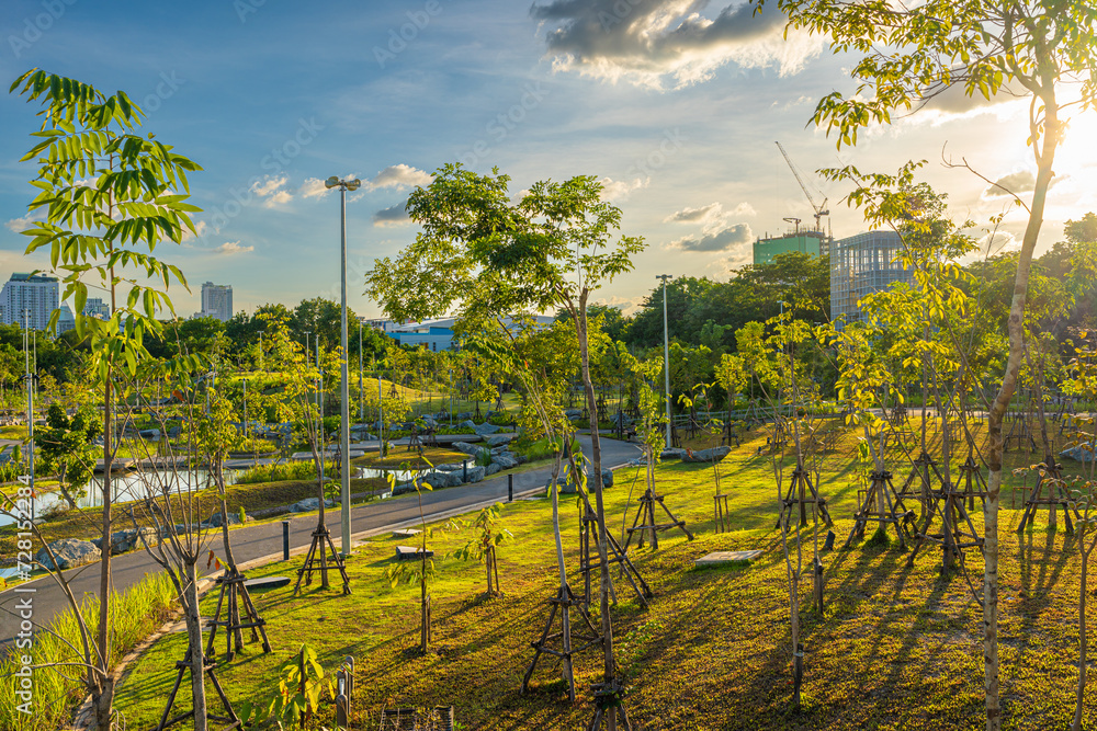 Fototapeta premium Pathway pavement asphalt road in city green tree pak with office building