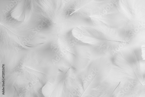 Beautiful fluffy bird feathers on white background, flat lay © New Africa