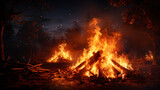 Picture of bonfire