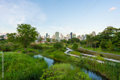 Tropical forest park swamp garden in city public park with office building Benchakitti park © themorningglory