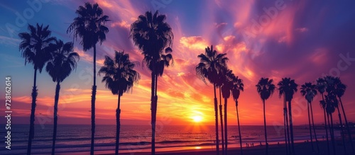 California: A Mesmerizing Sunset Over Palms by the California Coastline
