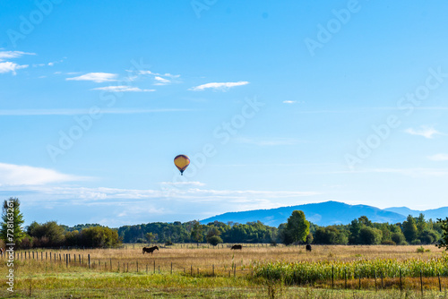 A Hot Air Balloon Above a Pasture in Wyoming With a Horse Grazing in the Field and Mountains in the Background