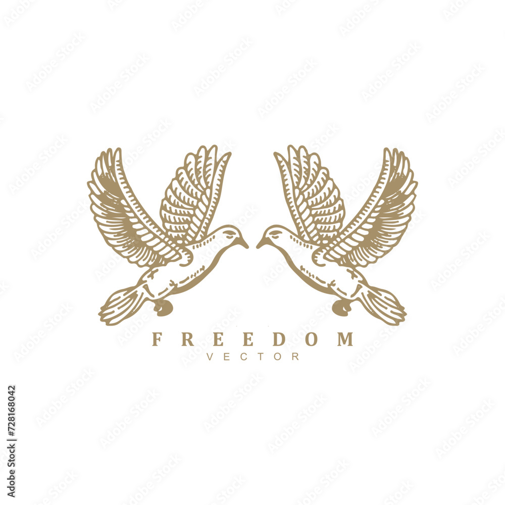 Obraz premium Vintage retro luxury pigeon or dove bird logo design vector illustration