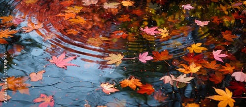 Gorgeous Autumn Leaves Reflecting in a Serene Maple Water: A Vision of Autumn Leaves, Maple, and Water