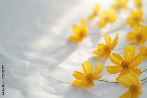 floral arrangement with yellow flowers on a white background  Minimal fashion summer holiday concept