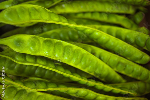 фотографія Raw of petai or pete (Parkia speciosa)