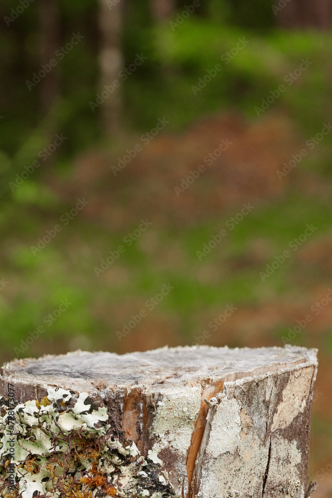 Background and wooden base ideal for displaying products Background and wooden base ideal for displaying products