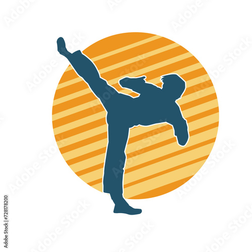 Silhouette of a male doing martial art kick pose. Silhouette of a martial art male doing kicking pose.