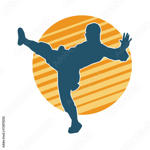 Silhouette of a male doing martial art kick pose. Silhouette of a martial art male doing kicking pose.