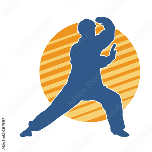 Silhouette of a man in oriental martial art pose. Silhouette of a male in martial art move.