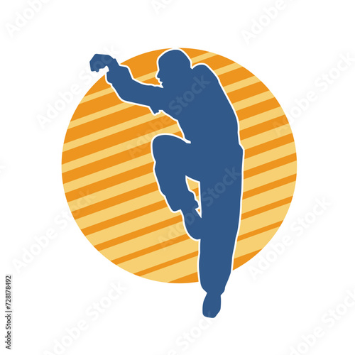 Silhouette of a man in oriental martial art pose. Silhouette of a male in martial art move.