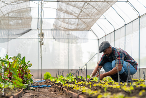 Happy African man farmer growing organic vegetable on agriculture farm field in greenhouse garden. Male gardener working nature and gardening healthy food for sustainable living and small business.