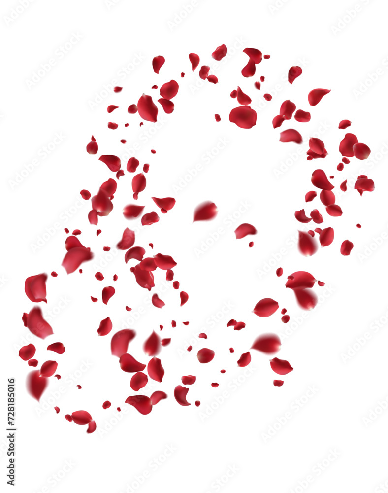 Realistic red rose petals with transparent background. Vector illustration Realistic red rose petals with transparent background. Vector illustration