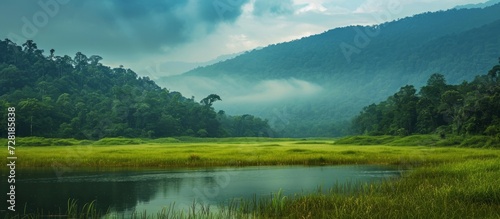 Explore the Majestic Beauty of Huge Kanchangungh in Upper Chitre at Singalil National Park