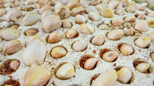 Assorted garlic cloves spread out on a white surface, showcasing ingredients related to culinary concepts or healthy eating themes