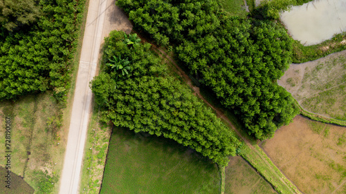 Aerial view of a road cutting through green woodland and fields, illustrating concepts of travel, nature, and environmental conservation background Earth Day concept